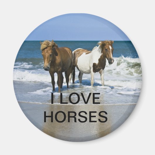 IK HOU VAN PAARDEN MAGNEET (Voorkant)