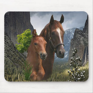 Ik hou van paarden muismat