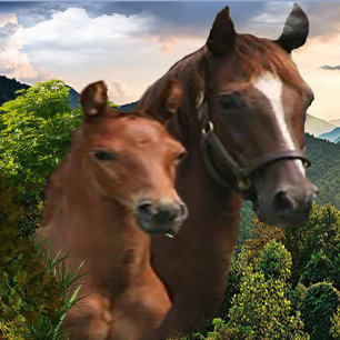 Ik hou van paarden poster