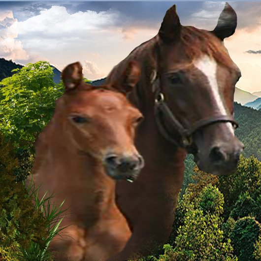 Ik hou van paarden poster