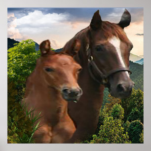 Ik hou van paarden poster