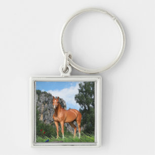 Ik hou van paarden sleutelhanger