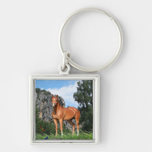 Ik hou van paarden sleutelhanger (Voorkant)