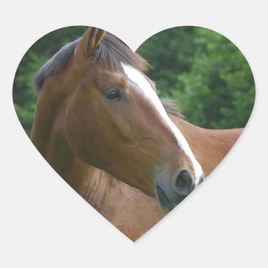 Ik hou van Paarden Trekkers Paardengezicht in Hear Hart Sticker (Voorkant)