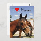 Ik hou van paarden western paard briefkaart (Voorkant / Achterkant)