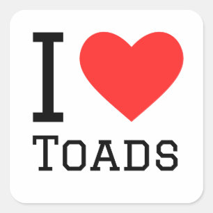 Ik hou van padden vierkante sticker