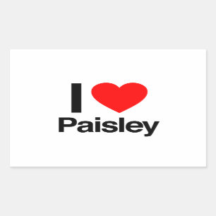 ik hou van paisley rechthoekige sticker