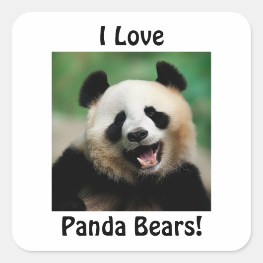 Ik hou van Panda-Beren Vierkante Sticker (Voorkant)