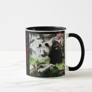 IK HOU VAN PANDA'S MOK