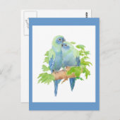 Ik hou van papegaaien, Tropical Bird Collectie Briefkaart (Voorkant / Achterkant)