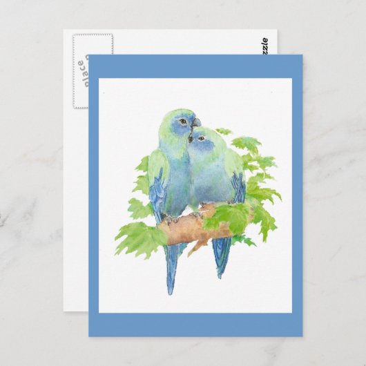 Ik hou van papegaaien, Tropical Bird Collectie Briefkaart (Voorkant / Achterkant)