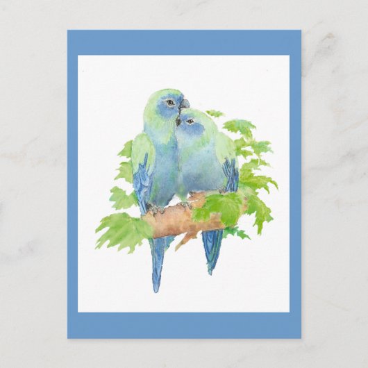 Ik hou van papegaaien, Tropical Bird Collectie Briefkaart (Voorkant)