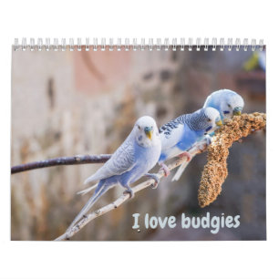 Ik hou van parkieten - snapshots van de kleine vog kalender