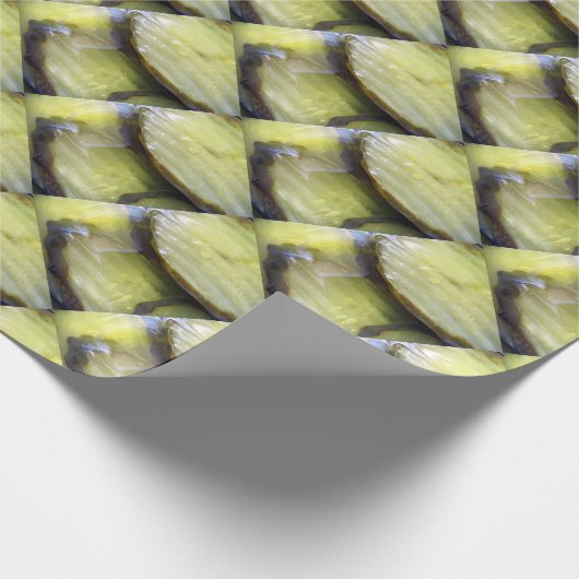 Ik hou van Pickles Cadeaupapier (Hoek)