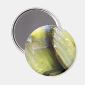 Ik hou van Pickles Magneet (Voorkant / Achterkant)