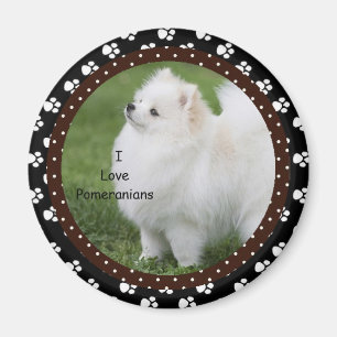 Ik hou van Pommeren Dog Magnet 2