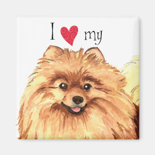 Ik hou van Pommeren Magneet