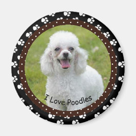 Ik hou van Poodles Magnet
