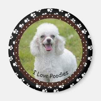 Ik hou van Poodles Magnet