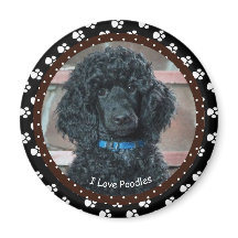Ik hou van Poodles Magnet