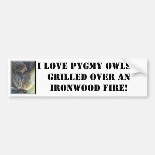 Ik hou van Pygmy Owls...gegrild over een ... Bumpersticker (Voorkant)