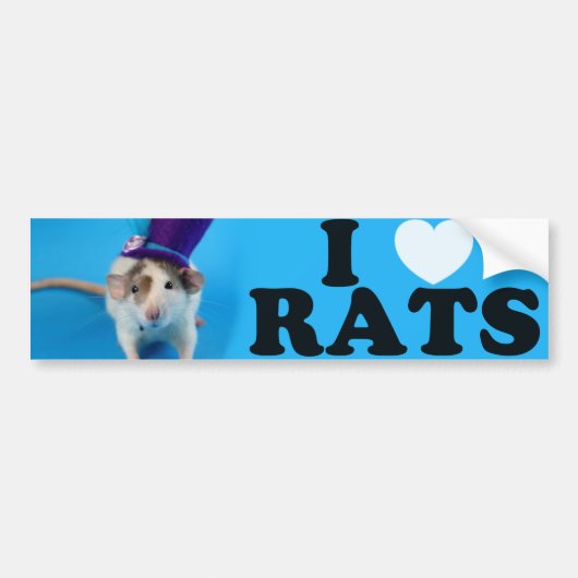 Ik hou van Rats (in pet) Bumpersticker (Voorkant)
