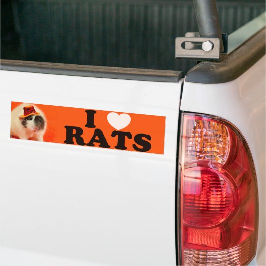 Ik hou van Rats (in pet) Bumpersticker (Op Truck)