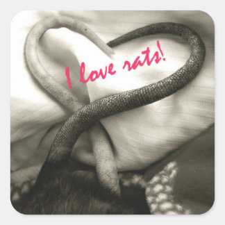 IK HOU VAN Rats stickers