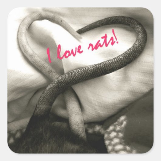 IK HOU VAN Rats stickers (Voorkant)