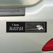 Ik hou van RATTEN! - bumpersticker over ratten (Op auto)