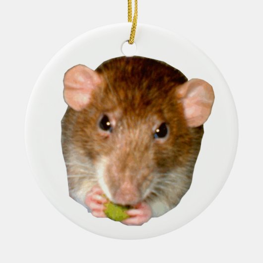 Ik hou van ratten die honger hebben keramisch ornament (Voorkant)