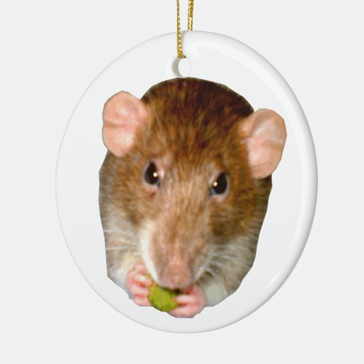 Ik hou van ratten die honger hebben keramisch ornament (Links)