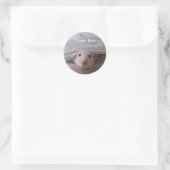 Ik hou van ratten Stickers (Tas)