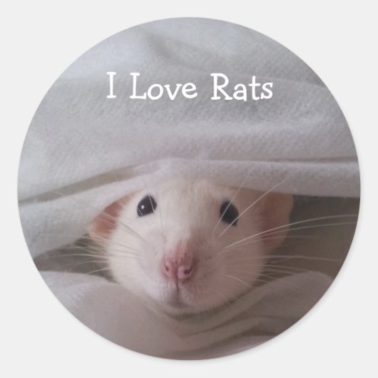 Ik hou van ratten Stickers (Voorkant)
