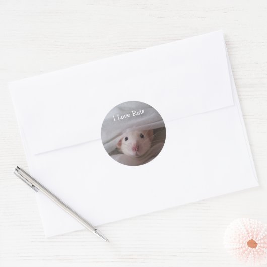 Ik hou van ratten Stickers (Envelop)