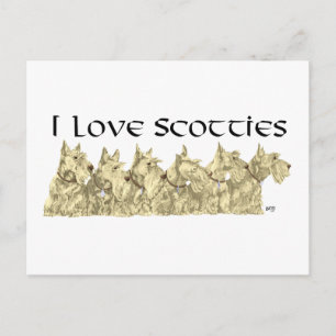 Ik hou van Scotties - Wheaten Scottie Line-up Briefkaart