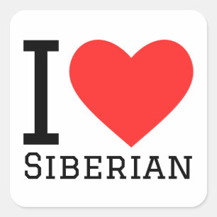 Ik hou van Siberische kat Vierkante Sticker