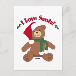 Ik hou van Sinterklaas! Kerst Teddybeer Feestdagenkaart