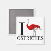 Ik hou van struisvogels magneten (Voorkant / Achterkant)