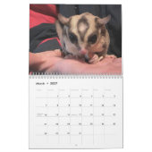 Ik hou van suikerzweefkalender kalender (Mar 2027)