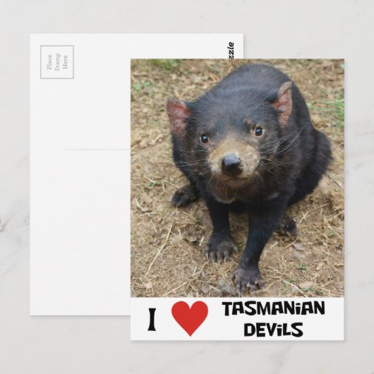 Ik hou van Tasmaanse duivels Briefkaart (Voorkant / Achterkant)
