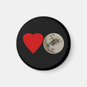 Ik hou van Thai Green Curry ... Thailand Street Fo Magneet