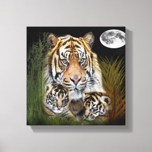 Ik hou van Tigers Canvas Afdruk