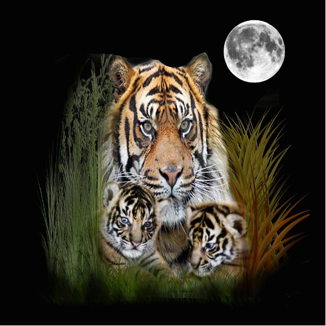 Ik hou van Tigers Fotobeeldje Sleutelhanger (Voorkant)