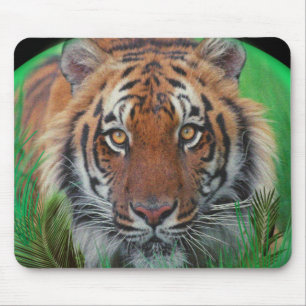 Ik hou van Tigers Muismat