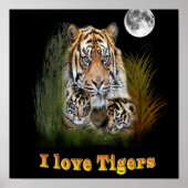 Ik hou van Tigers Poster (Voorkant)