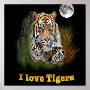 Ik hou van Tigers Poster