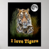 Ik hou van Tigers Poster (Voorkant)