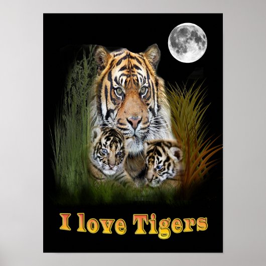 Ik hou van Tigers Poster (Voorkant)