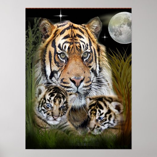Ik hou van Tigers Poster (Voorkant)